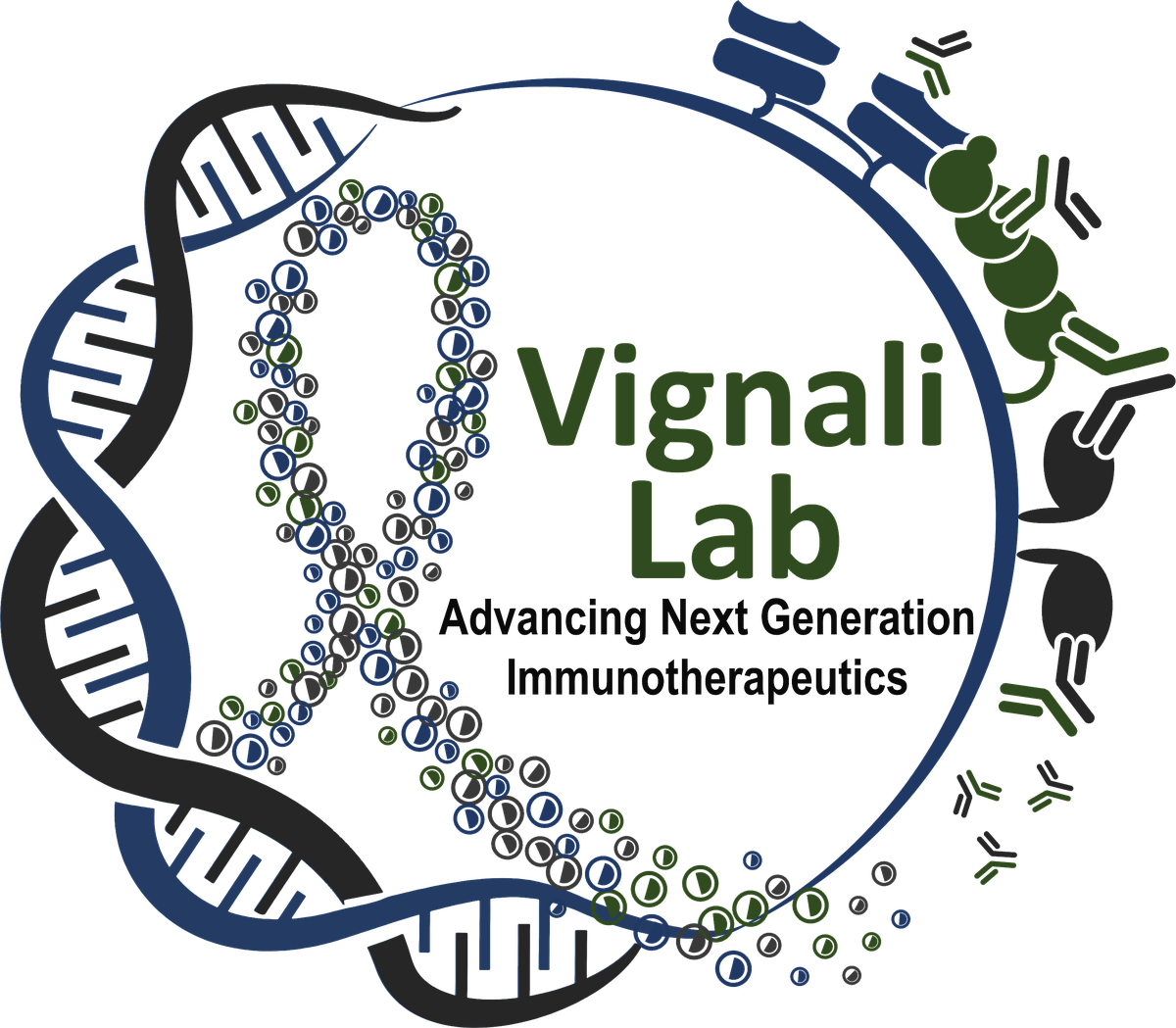 Vignali Laboratory logo
